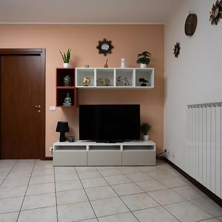 Garibaldi 26 스트레사